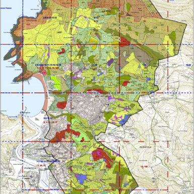 Plan General de Ordenación Urbana de Gorliz: Estudio Ambiental Estratégico, vegetación y hábitats